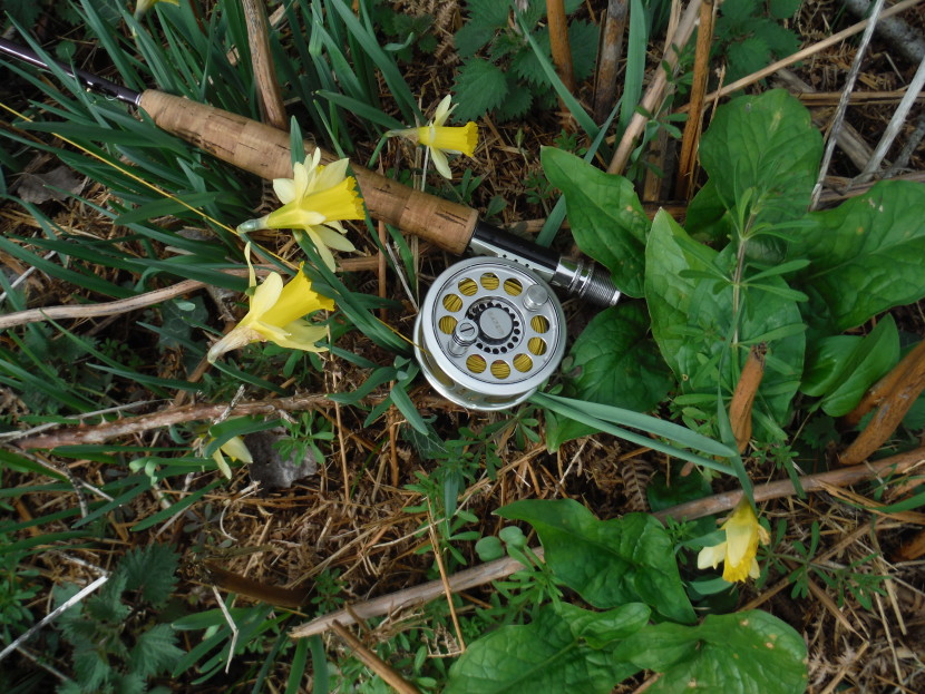 Spring on the wild streams